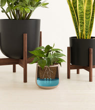 Load image into Gallery viewer, Charcoal stand:two_stands
