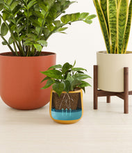 Load image into Gallery viewer, Evening Sky stand:one_stand
