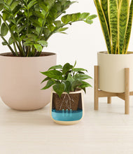 Load image into Gallery viewer, Sandy stand:one_stand
