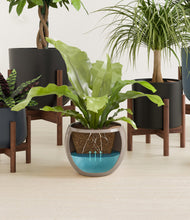 Load image into Gallery viewer, Charcoal stand:four_stands
