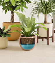 Load image into Gallery viewer, -
