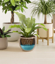 Load image into Gallery viewer, Sandy stand:two_stands
