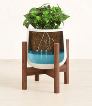 Load image into Gallery viewer, White stand:walnut
