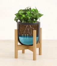 Load image into Gallery viewer, Stone Black stand:bamboo
