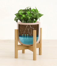 Load image into Gallery viewer, Sandy Pink stand:bamboo
