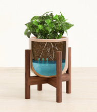 Load image into Gallery viewer, Glossy Pink stand:walnut
