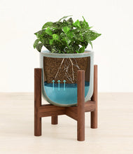 Load image into Gallery viewer, Misty Blue stand:walnut
