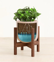 Load image into Gallery viewer, Sandy Pink stand:walnut
