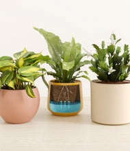 Load image into Gallery viewer, Evening Sky
