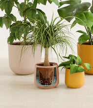 Load image into Gallery viewer, Evening Sky stand:all
