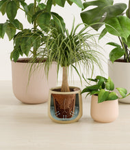 Load image into Gallery viewer, Sandy stand:all
