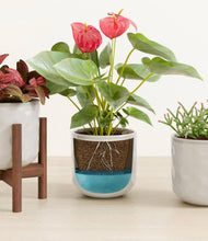 Load image into Gallery viewer, Hammered Ivory stand:one_stand
