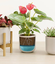 Load image into Gallery viewer, Snowdrift White stand:one_stand
