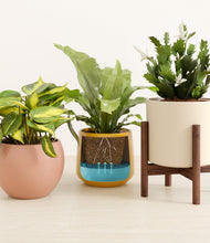 Load image into Gallery viewer, Evening Sky stand:one_stand
