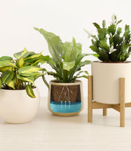 Load image into Gallery viewer, Sandy stand:one_stand
