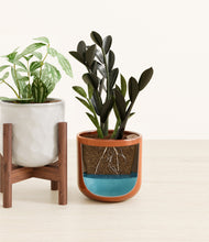 Load image into Gallery viewer, Candy Cane stand:one_stand
