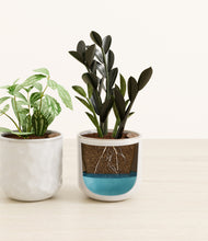 Load image into Gallery viewer, Frozen Horizon
