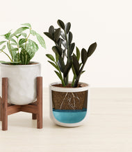 Load image into Gallery viewer, Frozen Horizon stand:one_stand
