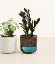 Load image into Gallery viewer, Midnight Peaks
