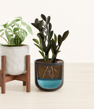 Load image into Gallery viewer, Midnight Peaks stand:one_stand
