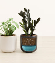 Load image into Gallery viewer, Polar Eclipse
