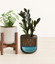 Load image into Gallery viewer, Polar Eclipse stand:one_stand
