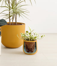 Load image into Gallery viewer, Evening Sky stand:all
