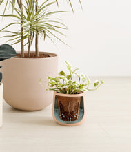 Load image into Gallery viewer, Sandy stand:all
