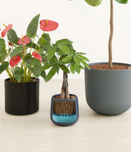 Load image into Gallery viewer, Charcoal
