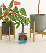 Load image into Gallery viewer, Countryside stand:two_stands
