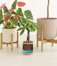 Load image into Gallery viewer, Sandy stand:two_stands
