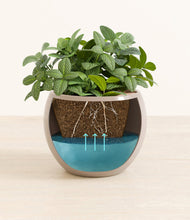 Load image into Gallery viewer, Desert Brown
