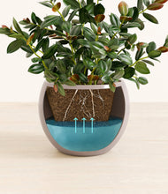 Load image into Gallery viewer, Winter Clouds
