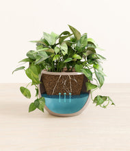 Load image into Gallery viewer, Desert Brown
