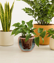 Load image into Gallery viewer, Evening Sky stand:all
