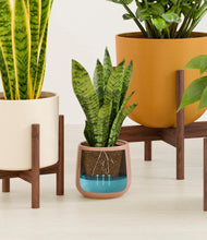 Load image into Gallery viewer, Evening Sky stand:five_stands
