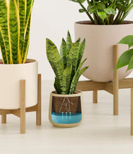 Load image into Gallery viewer, Sandy stand:five_stands
