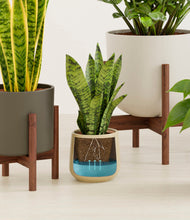 Load image into Gallery viewer, Woodland stand:three_stands
