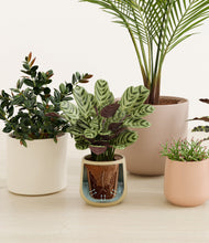 Load image into Gallery viewer, Sandy stand:all
