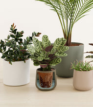 Load image into Gallery viewer, Woodland stand:all
