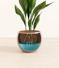 Load image into Gallery viewer, Calm Rose
