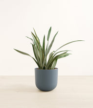 Load image into Gallery viewer, Iron Gray*****Profile
