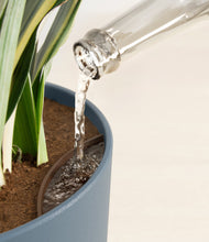 Load image into Gallery viewer, Iron Gray stand:all
