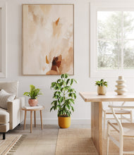 Load image into Gallery viewer, Evening Sky
