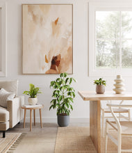 Load image into Gallery viewer, Summer Mist
