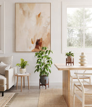 Load image into Gallery viewer, Summer Mist stand:two_stands
