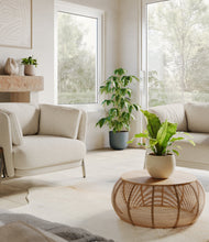 Load image into Gallery viewer, Summer Mist
