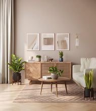 Load image into Gallery viewer, Charcoal stand:two_stands
