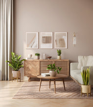 Load image into Gallery viewer, Sandy stand:two_stands
