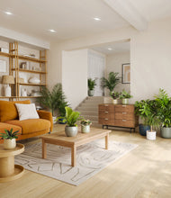 Load image into Gallery viewer, Earthy
